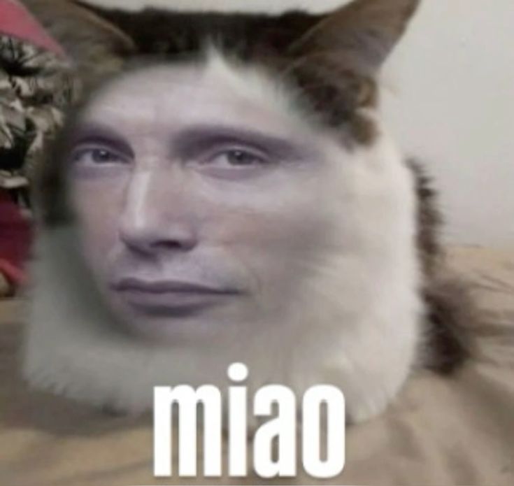 miao